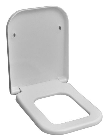 Serel Dıagonal Asma Klozet (53X35,5) DG10ODS110H + Serel Zeta  Yavaş Kapanan Klozet Kapaği 223ZT00002