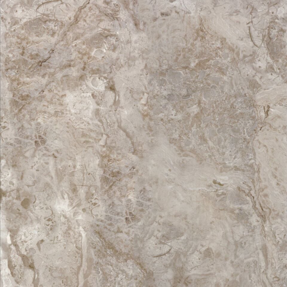 Seranit 60X60 Belekoma Fon Vizon Parlak 2. Kalite