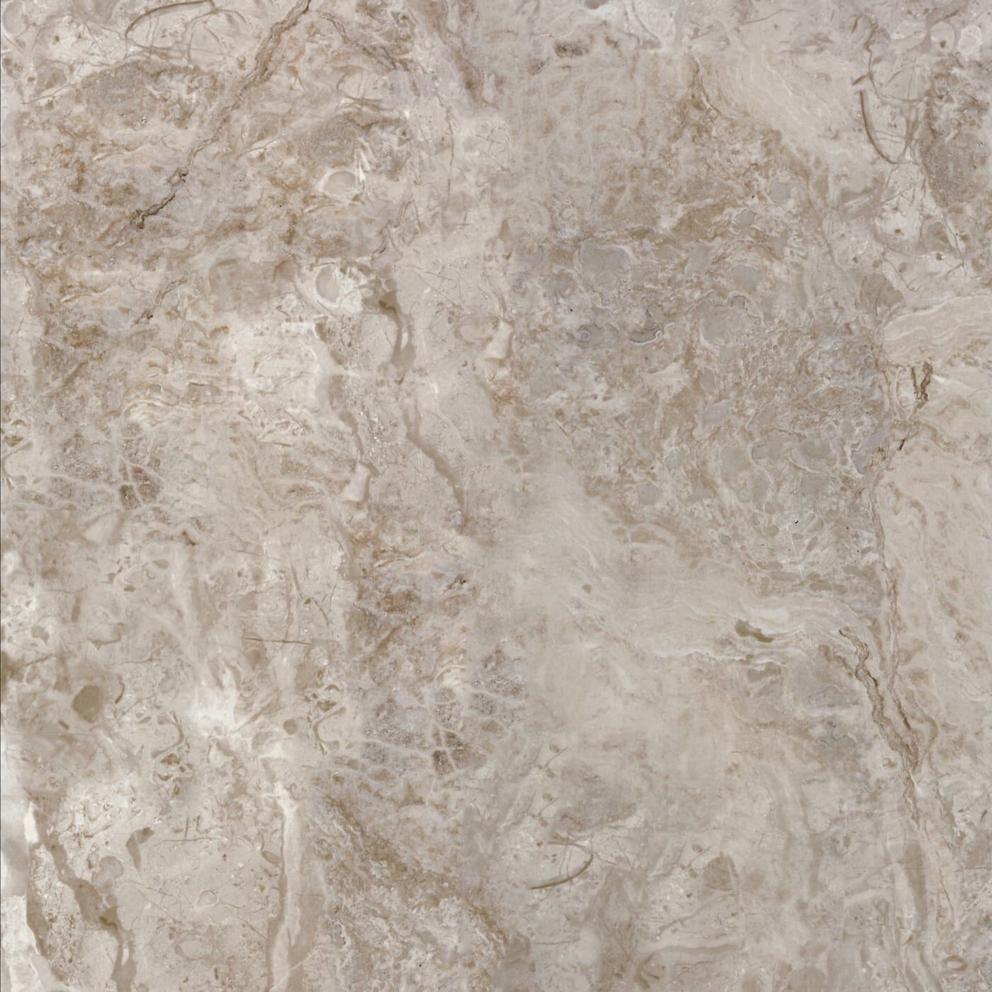 Seranit 60X60 Belekoma Fon Vizon Parlak 2. Kalite