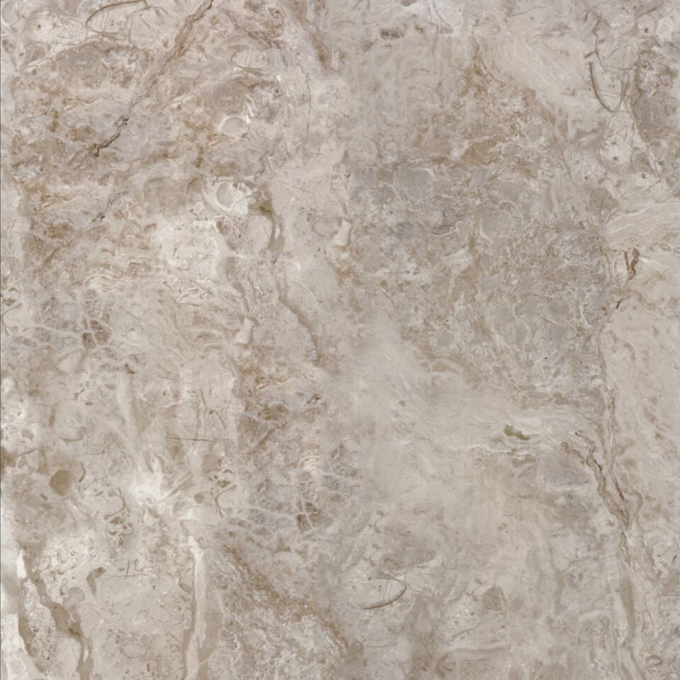 Seranit 60X60 Belekoma Fon Vizon Parlak 2. Kalite