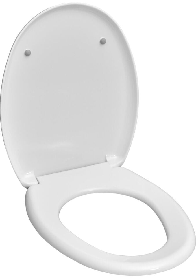 Serel Mıo Yarı Btw Klozet (62X35,5) MN02GDS110H + Serel Gedi̇z Klozet Kapaği 2276100002