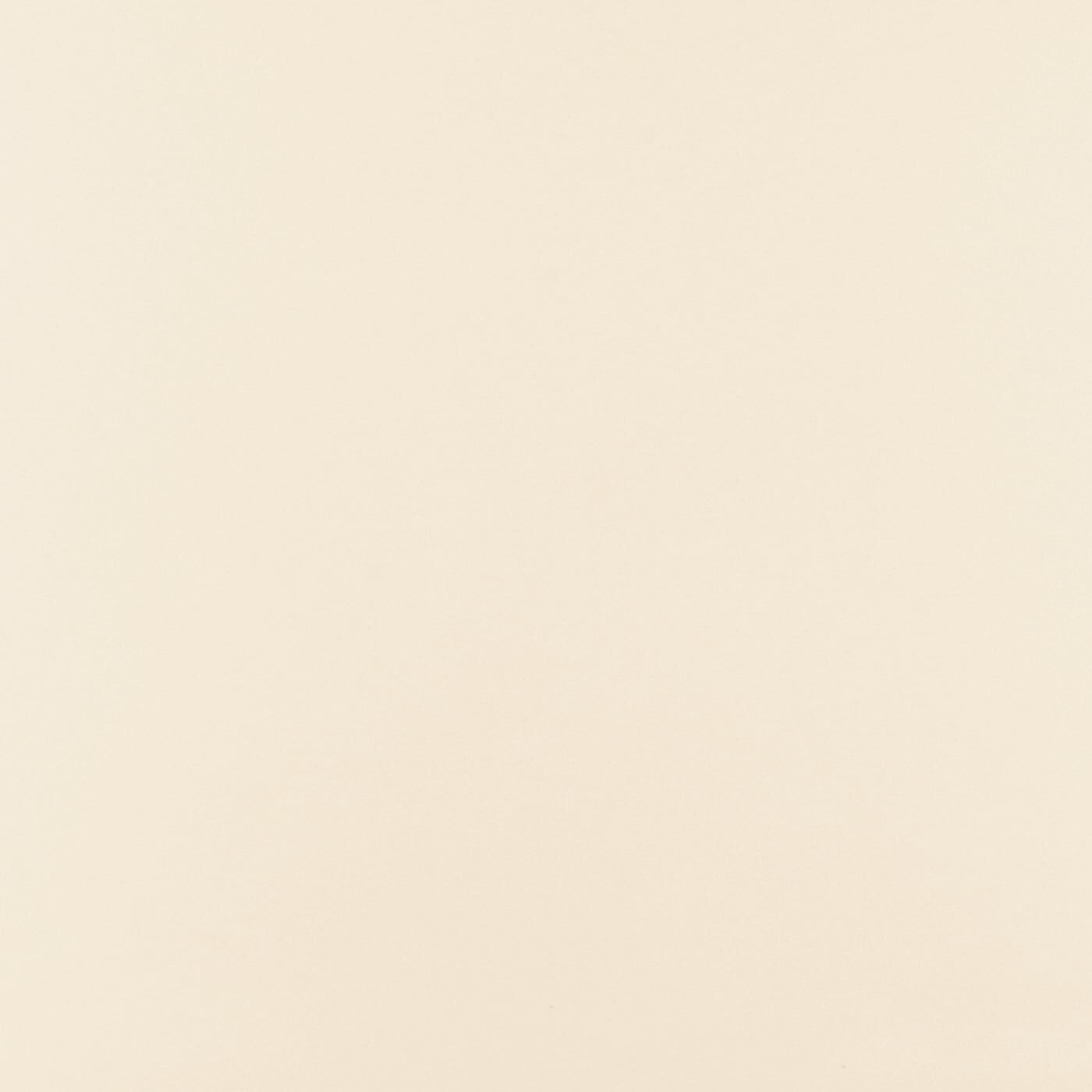 Seranit 60X60 Arena Fon Beige Mat – Seranit