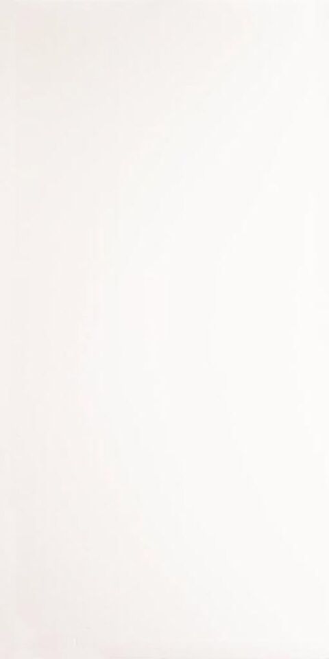 Seranit 60X120 Spectra Beyaz Fon Parlak