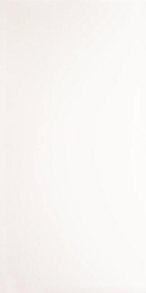 Seranit 60X120 Spectra Beyaz Fon Parlak