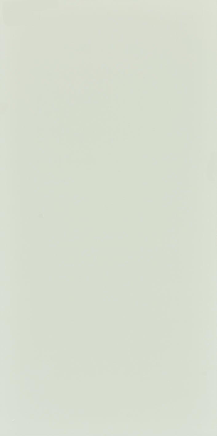 Seranit 60X120 Style Pastel-Açik Yeşil Fon Mat – Seranit