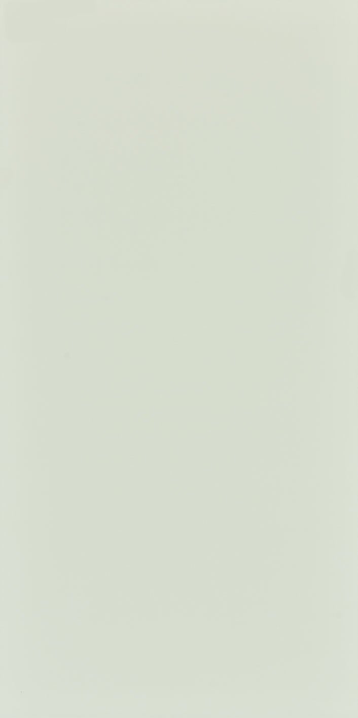 Seranit 60X120 Style Pastel-Açik Yeşil Fon Mat – Seranit