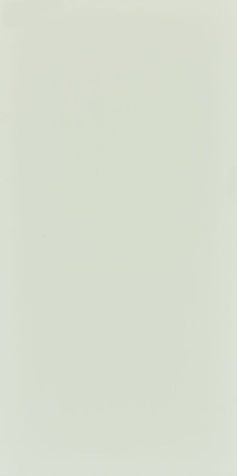 Seranit 60X120 Style Pastel-Açik Yeşil Fon Mat