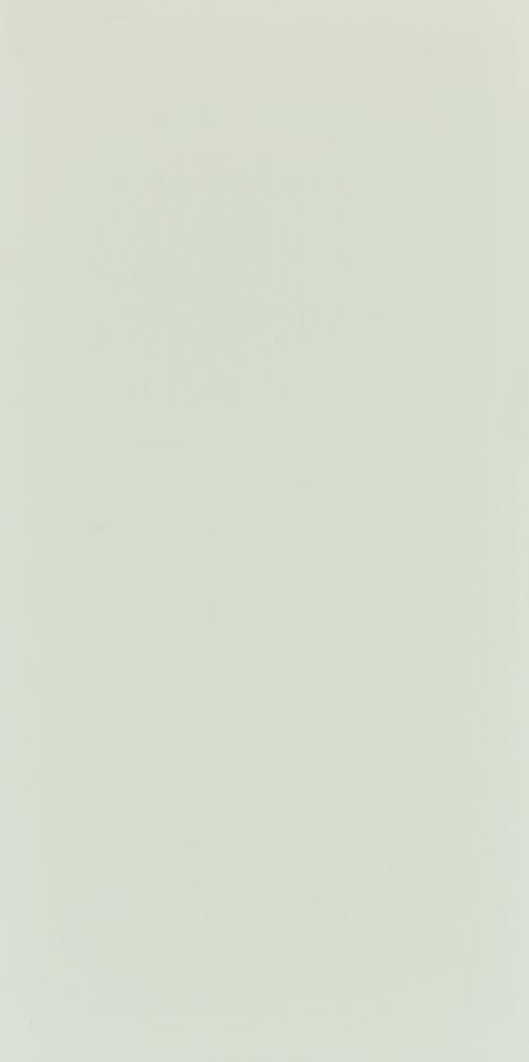 Seranit 60X120 Style Pastel-Açik Yeşil Fon Mat