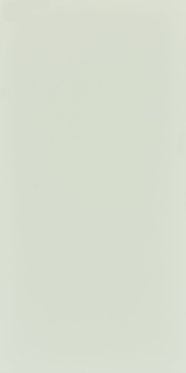 Seranit 60X120 Style Pastel-Açik Yeşil Fon Mat