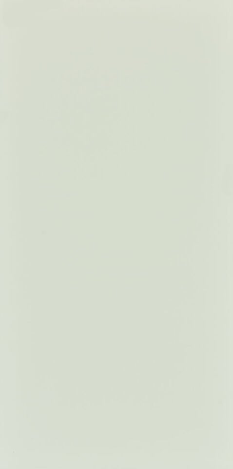 Seranit 60X120 Style Pastel-Açik Yeşil Fon Mat