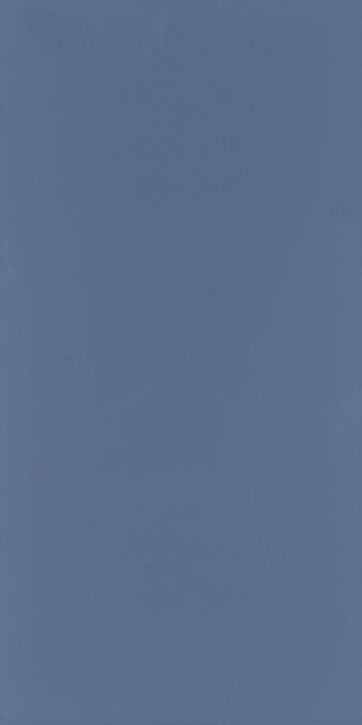 Seranit 60X120 Style Pastel-Koyu Mavi Fon Mat – Seranit