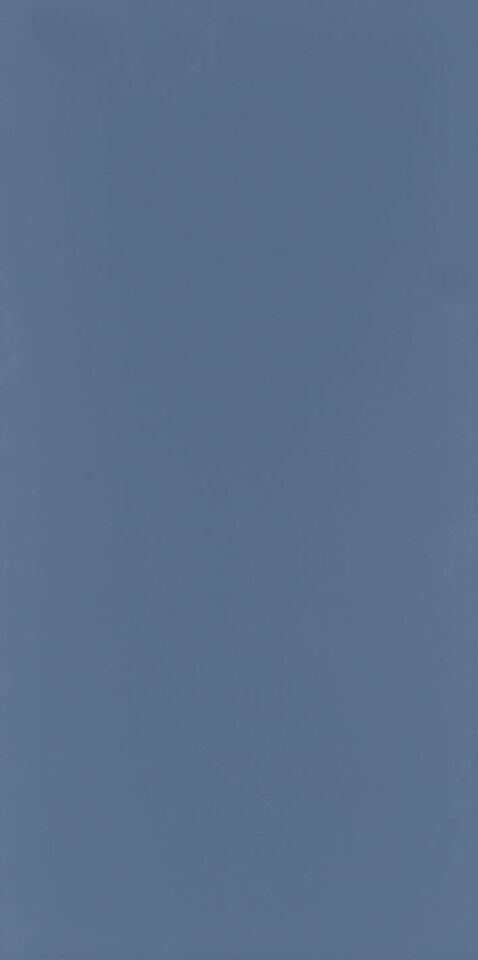 Seranit 60X120 Style Pastel-Koyu Mavi Fon Mat