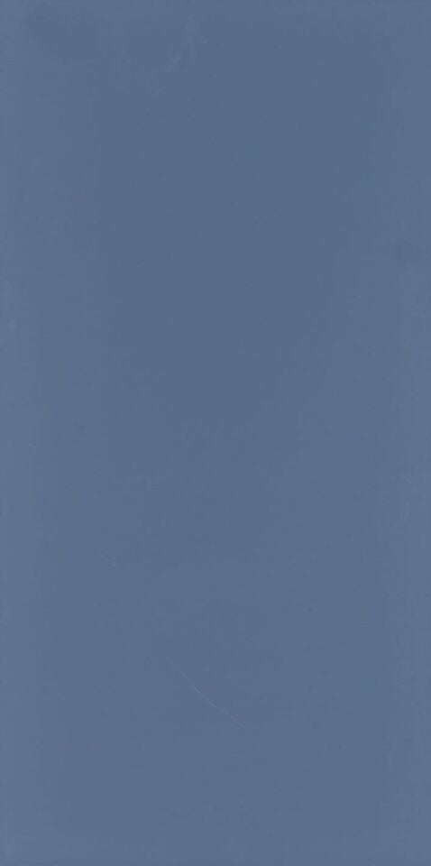 Seranit 60X120 Style Pastel-Koyu Mavi Fon Mat