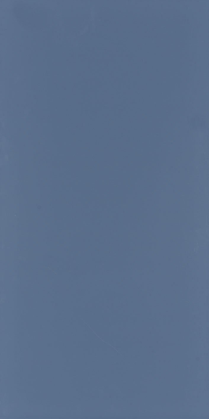 Seranit 60X120 Style Pastel-Koyu Mavi Fon Mat