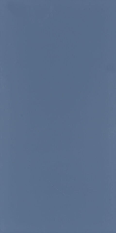 Seranit 60X120 Style Pastel-Koyu Mavi Fon Mat