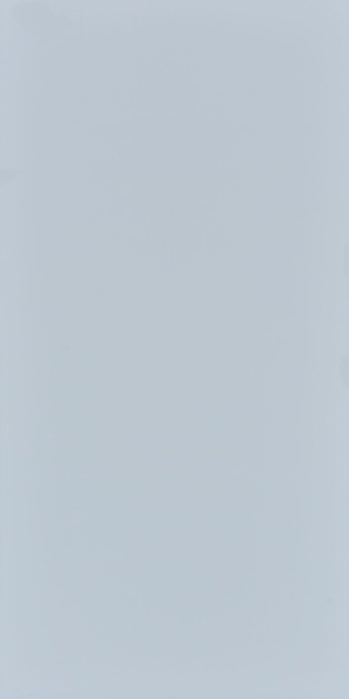 Seranit 60X120 Style Pastel-Açik Mavi Fon Mat – Seranit