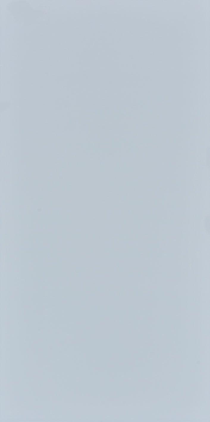 Seranit 60X120 Style Pastel-Açik Mavi Fon Mat