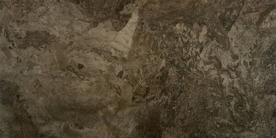 Seranit 60X120 Fossil Fon Brown Full Lappato