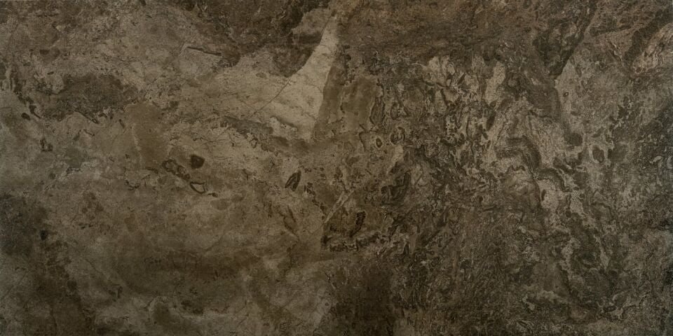 Seranit 60X120 Fossil Fon Brown Full Lappato