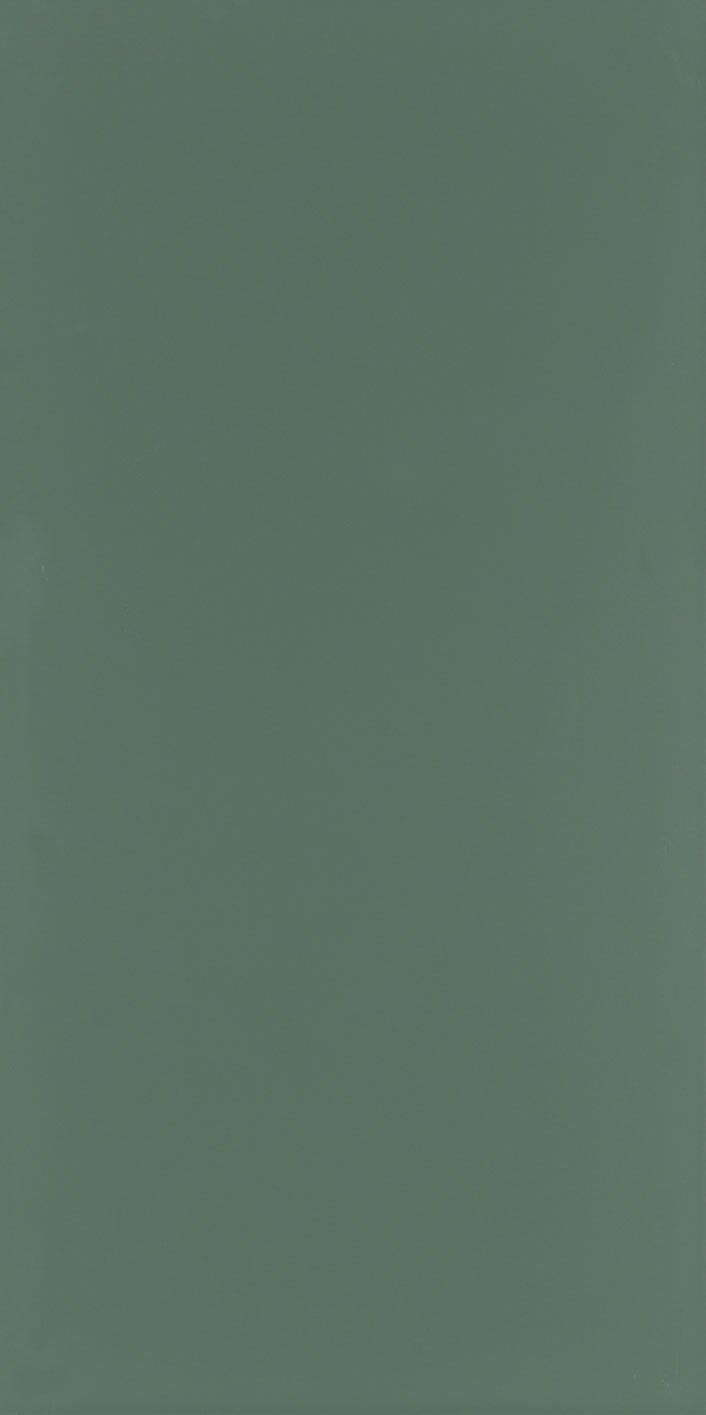 Seranit 60X120 Style Pastel-Dekor Yeşil Fon Mat – Seranit