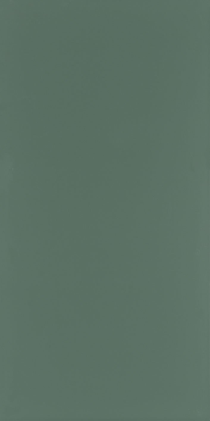 Seranit 60X120 Style Pastel-Dekor Yeşil Fon Mat