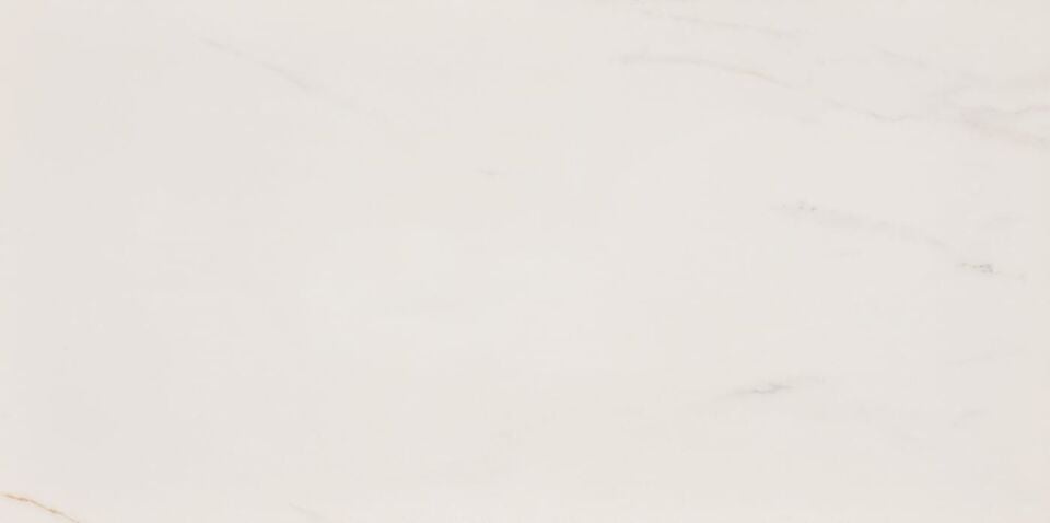 Seranit 60X120 Remus-White Fon Lappato